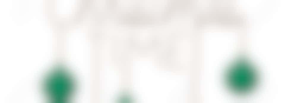 SAF December Youth Wing Meeting