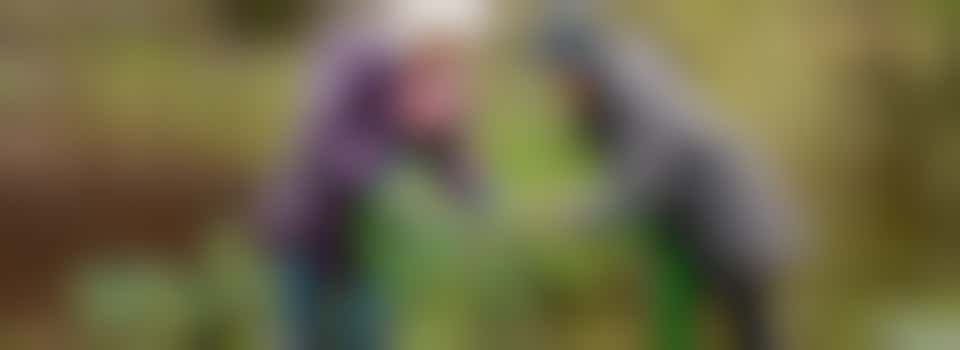 Adam Helpt zoekt jou! Wil jij meehelpen in de tuin van een ouderenlocatie?