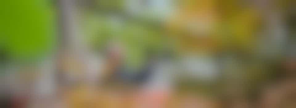 Tuinvrijwilligers gezocht!