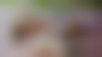 Community Fundraiser