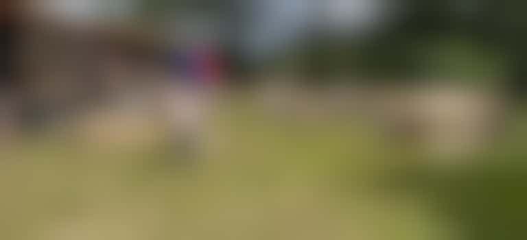 KINDERFESTIVAL ZOEKT HANDIGE HANDJES