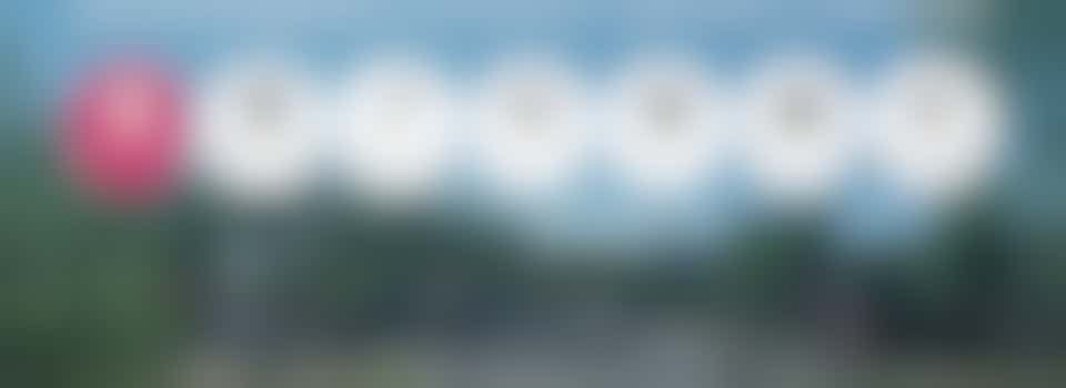 Bereik en betrek je wijk: Succesvoorbeelden uit Schilderswijk en Transvaal