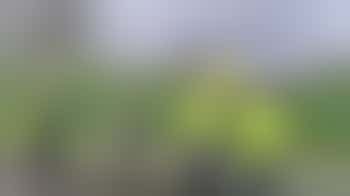 Health Walk Support Volunteers