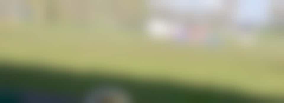 Ballenrijder(s) (driving range)