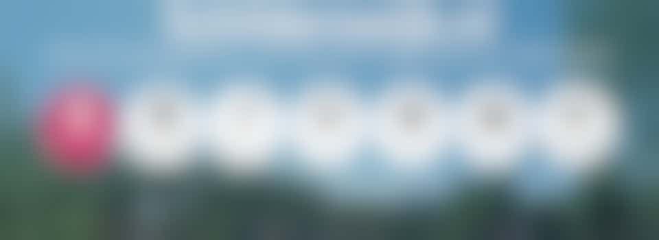 (Online) Verbind je wijk netwerk: Succesvoorbeelden Schilderswijk en Transvaal