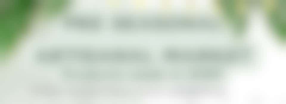 Pre Seasonal Artisanal Market