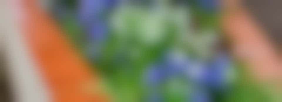 Volunteer for raised bed garden maintenance flexible