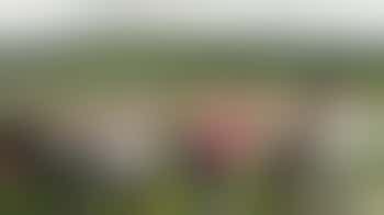 Trustee with a financial background to take up the role of Treasurer