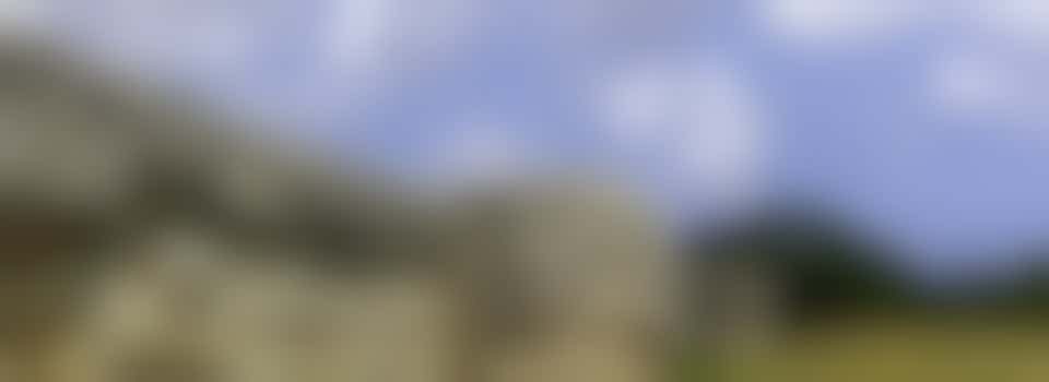 Tour Guide - Burgh Castle Fort