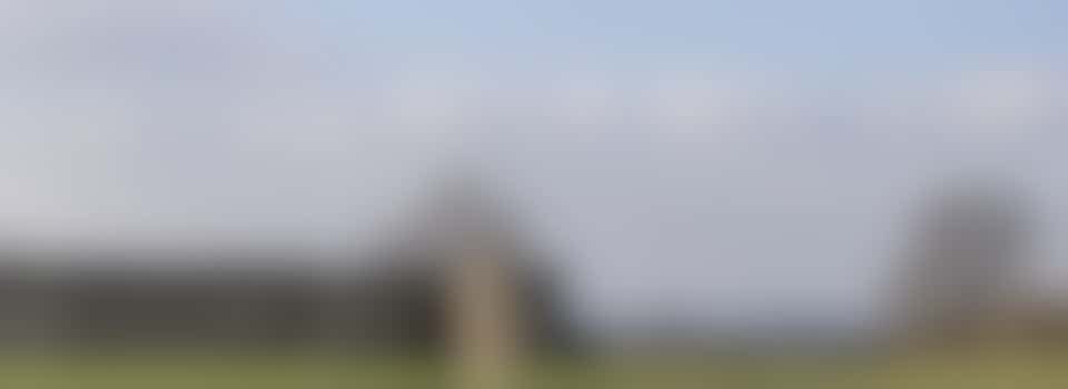 Visitor Surveyor - Burgh Castle Fort