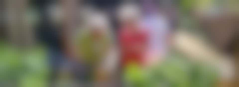 Garden Club Volunteer