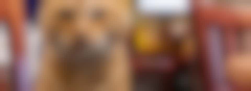 Funding - Development Coordinator