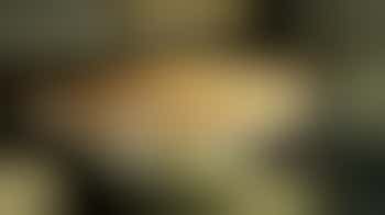 Bakvrijwilligers gezocht