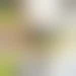 Facilities PAT (Portable Appliance Test) Volunteer