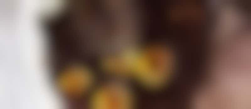 Wildlife Hospital - Bird Carer