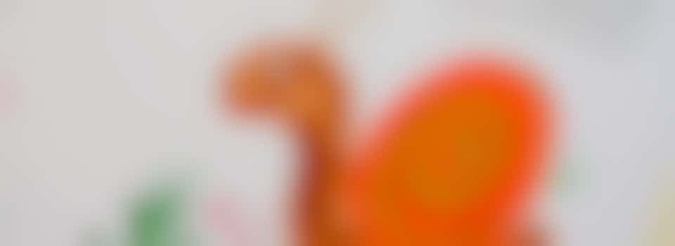 Gardening Volunteer, Squirrels Residential Service, Aylsham