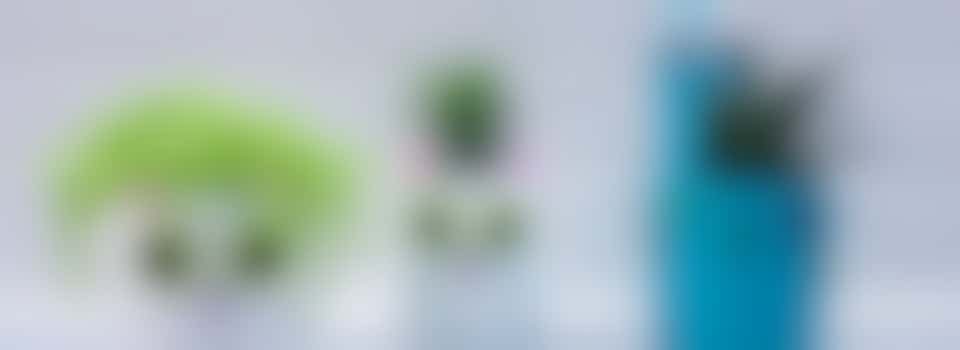 Volunteer for Upcycling Art Workshop