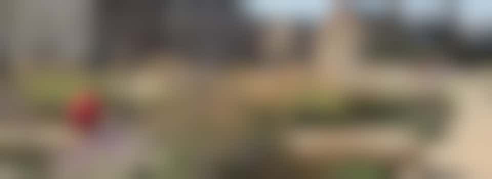 Community Volunteering: Lead Volunteers