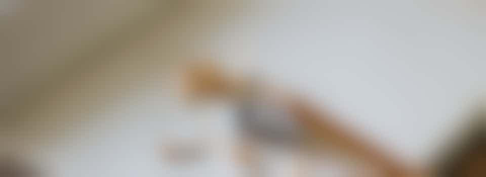 Hon. Secretary, CPRE Norfolk