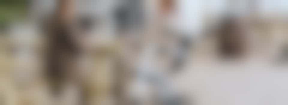 Samen iets gezelligs doen met een mantelzorger die graag eens wil ontzorgen?