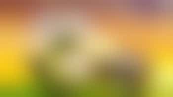 Artists - graphic - studio designer