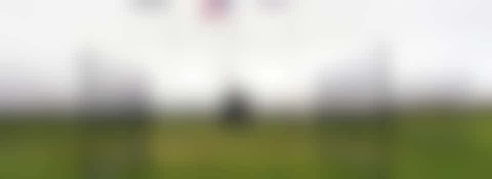 War Memorial and other Gardening