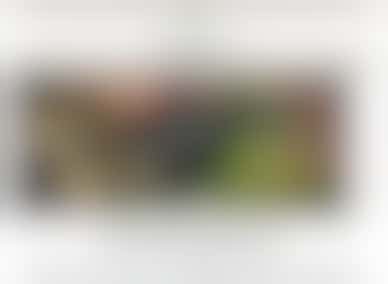 Helpen bij het opzetten en besturen van Stichting Meezan