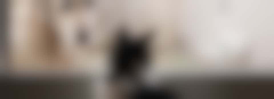 Dier-Sociaal Medewerker