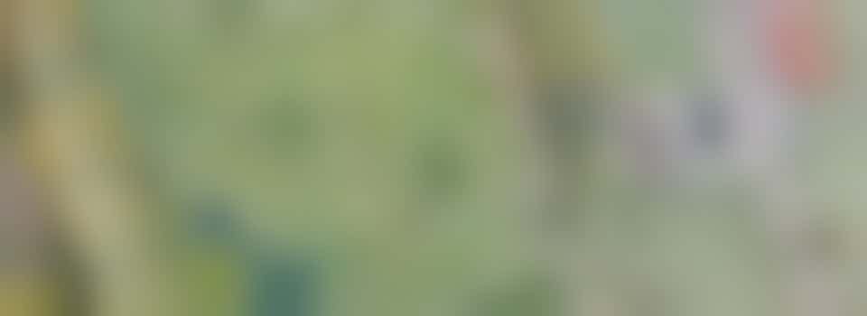 Stichting Kruidenavontuur Wenum - flyer actie