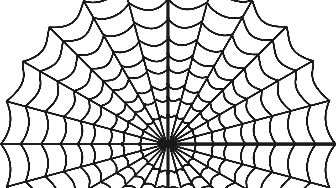 Als Algemeen Coördinator ben jij de spin in het web van Jeugdbelangen Enkhuizen.