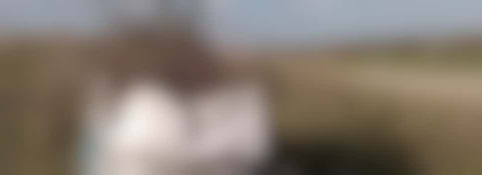 Volunteer Work Groups