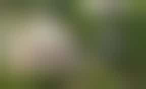 Vrijwilliger inloopspreekuur papiercafe Centrum