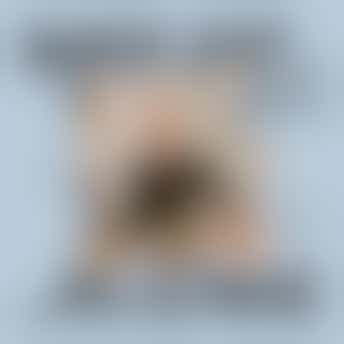 GoedZooi Marcel DOET!