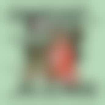 GoedZooi Connie DOET!