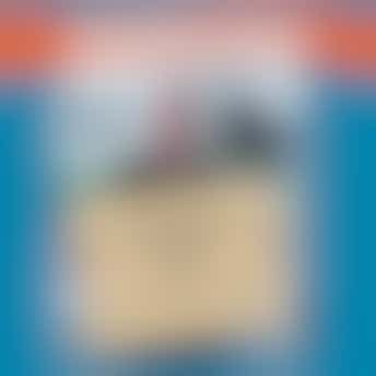 Bestuursleden gezocht