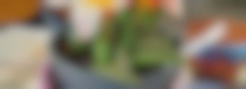 Arty Party Volunteer