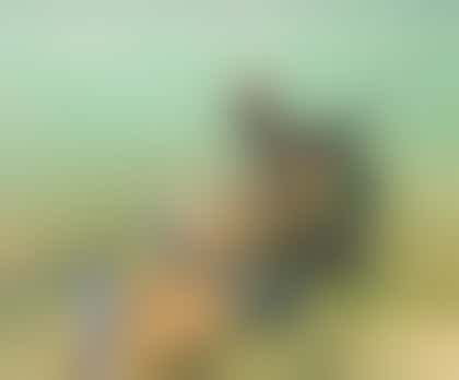 Simpson Bay Underwater Dive Cleanup