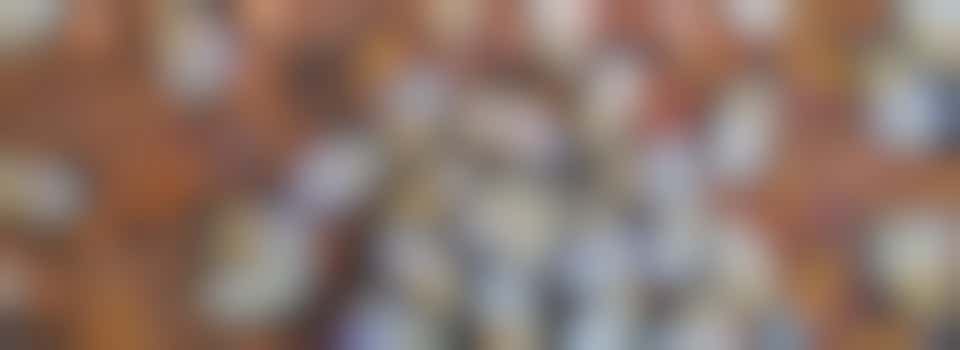 Kom jij ons helpen met de teelt van bijen?