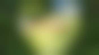 Intakevrijwilliger Buurtbemiddeling