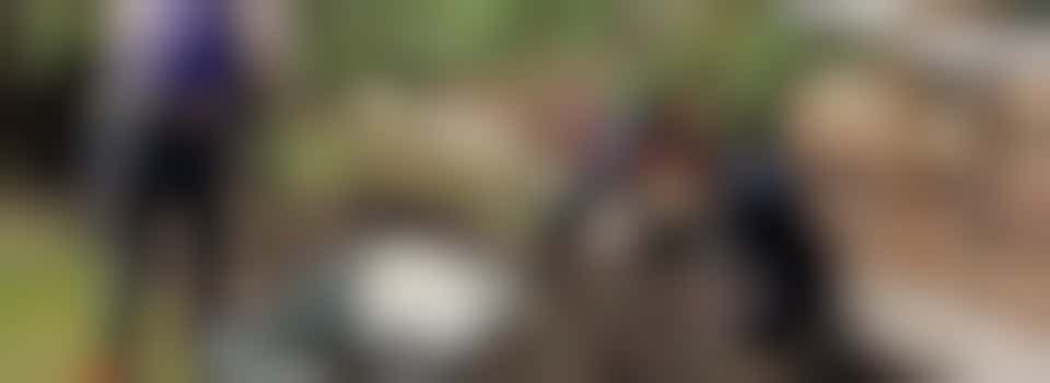 Volunteer opportunities (Adult) - support a children's allotment