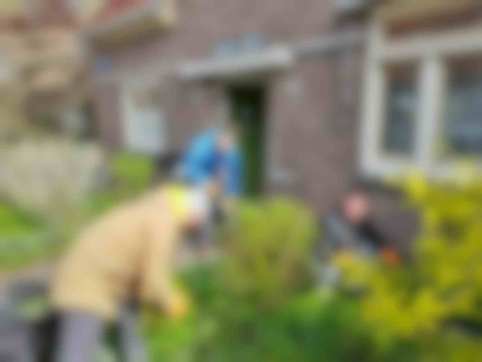 Tuinieren bij kwetsbare bewoners in Amsterdam Zuid of Oost (sept. okt 2024)