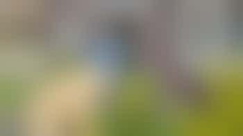 Gardening for vulnerable residents in Amsterdam South or East (April to October)