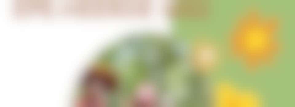 Zomerschool Epe-Heerde