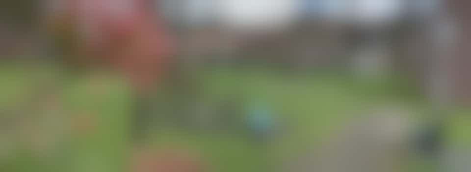 Wandelvrijwilliger, iets voor jou?