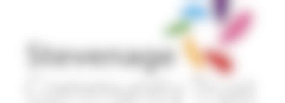 Volunteer Website and Social Media Administrator