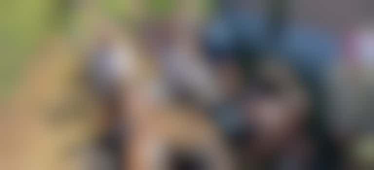 Vrijwilliger(s) activiteitenbegeleiding