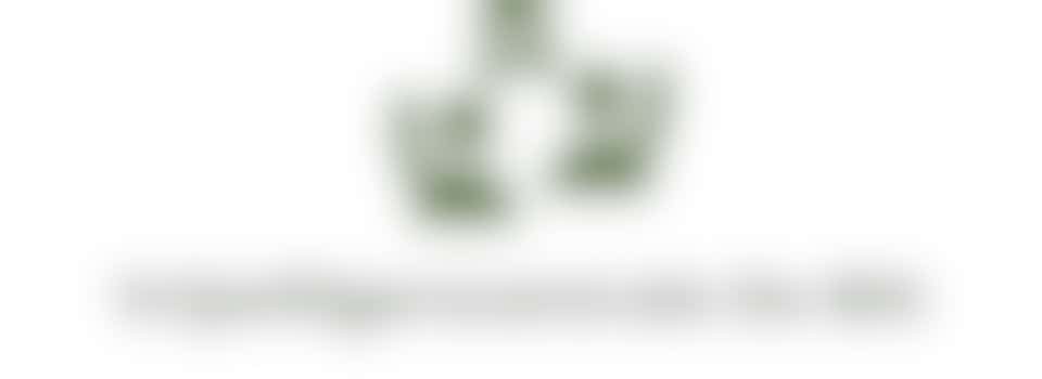 Training: Signaleren en bespreekbaar maken van eenzaamheid voor professionals