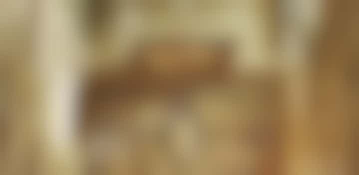 Welcome Desk Volunteer