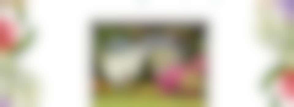 Volunteer fundraising for the NSPCC