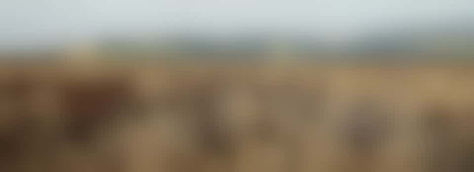 Exmoor Festival Of Nature Volunteers